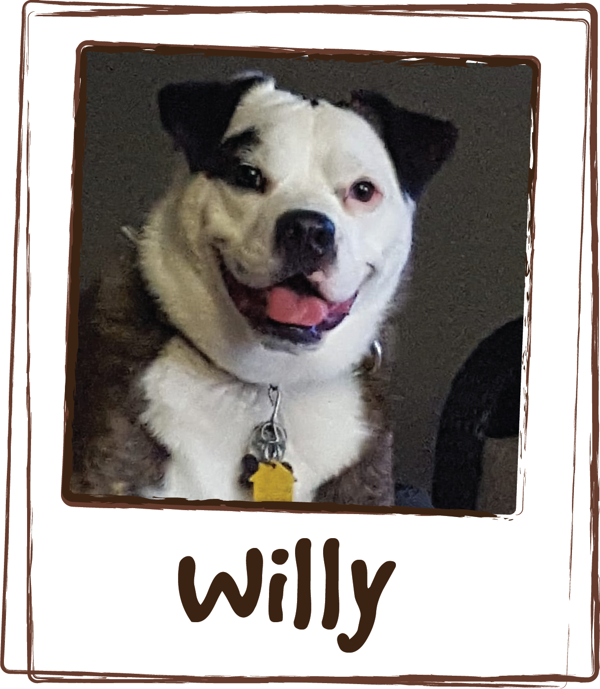  “I purchased the Calming and Skin &amp; Allergy products. I love it my dog Willy is loving it!” 