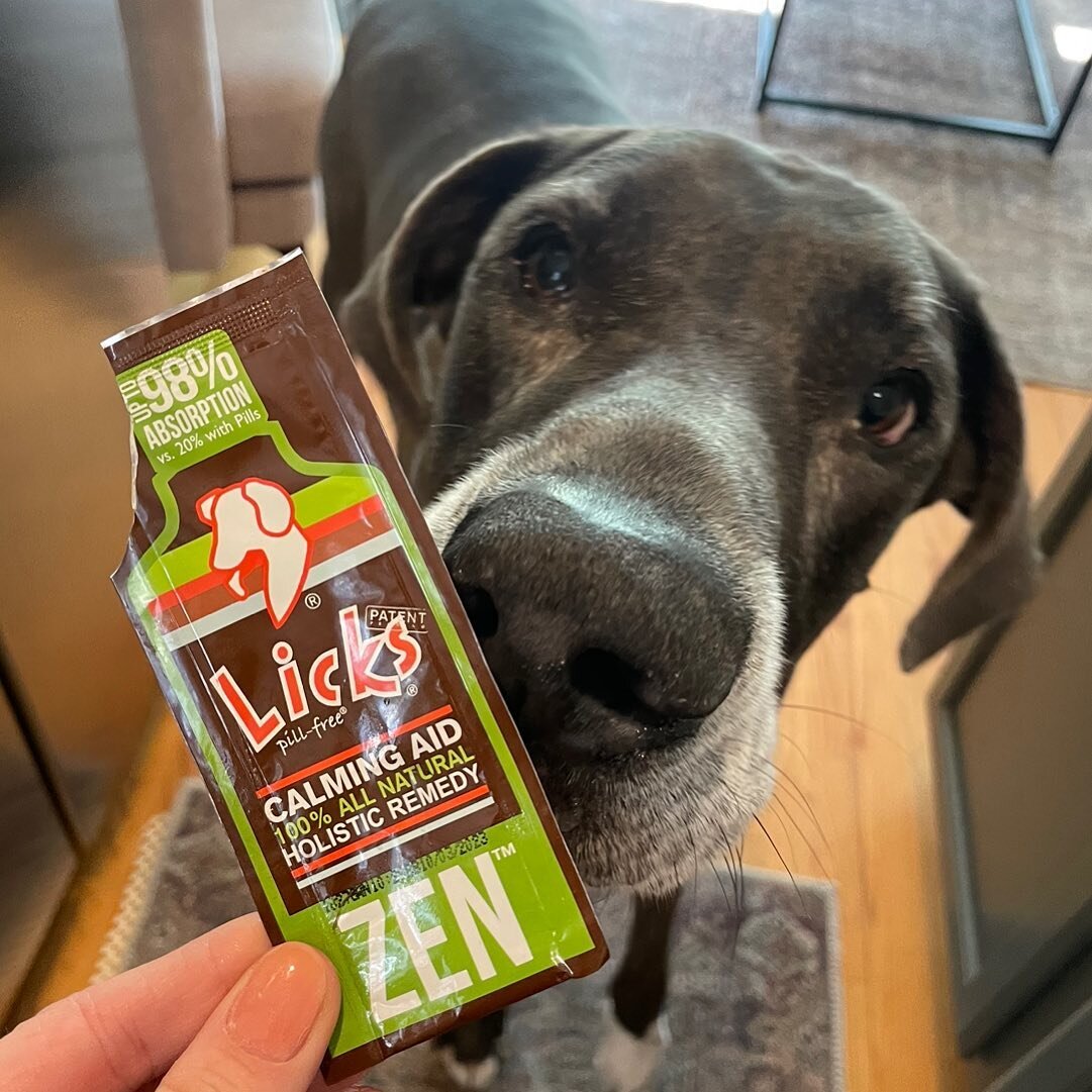 Someone is excited to get their zen on! Finding inner peace changes everything. Our zen calming formula helps to promote calmness and behavior management, maintain balance, manage normal stress levels, and calm separation anxiety in pets. Stock up no