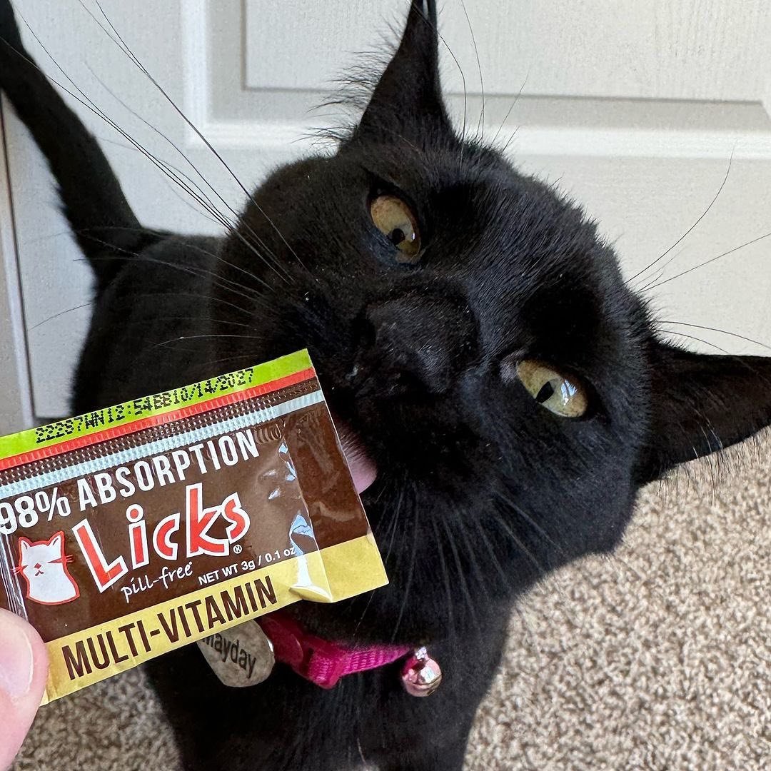 Tongues out! @chamberlain.casa.cats 
We love how much Mayday loves her LICKS. And how you are making sure she gets her extra nutrition! 

#repost 
&ldquo;mayday loves her @lickspillfree multivitamins! they&rsquo;re the perfect supplement for all arou