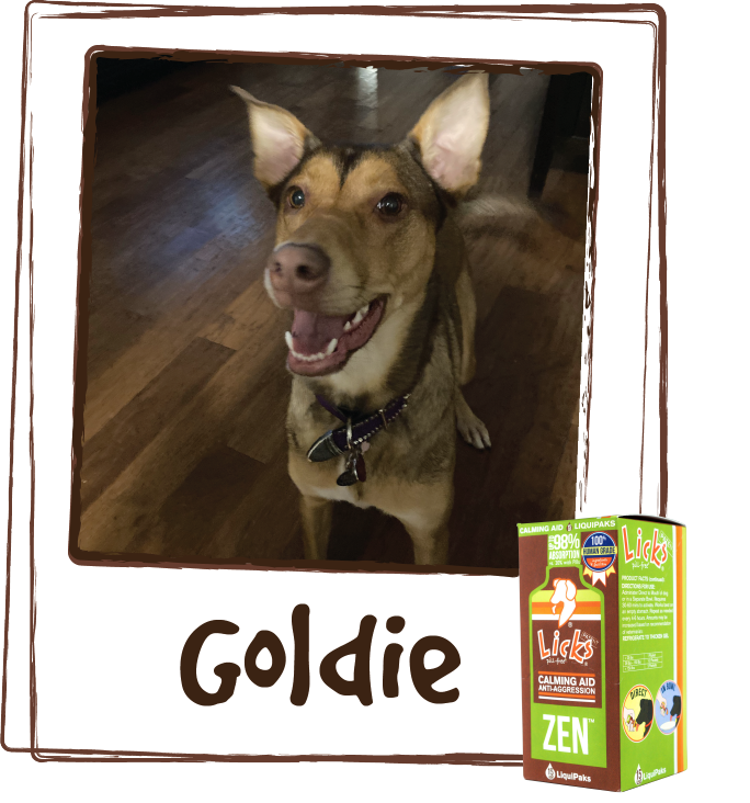 Goldie Poloroid2.png