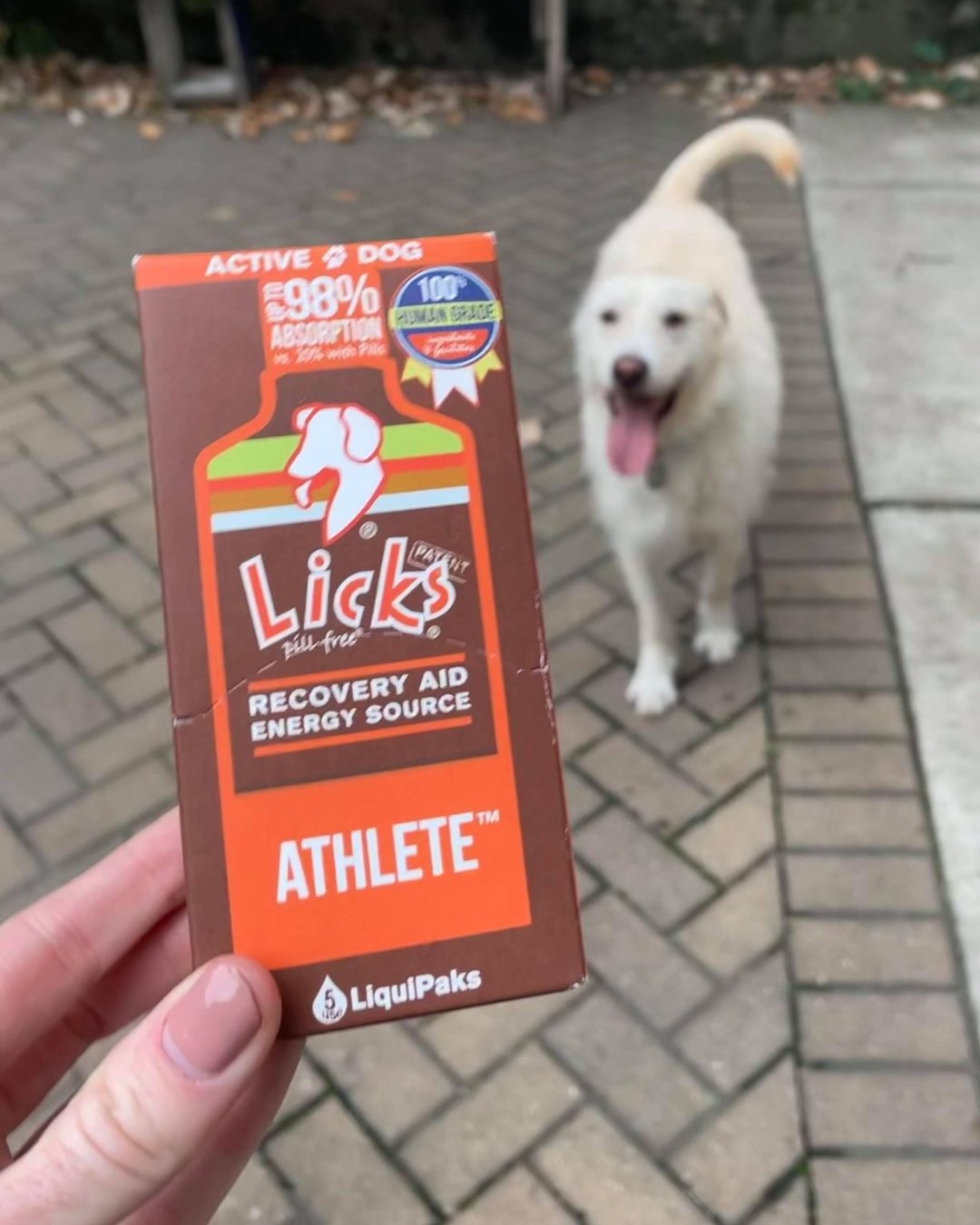 Unleash your dog's full potential! 🐕

Introducing our Dog Athlete formula &ndash; the ultimate energy source for your furry champion! 🐾 Enhance performance, improve stamina, and support muscle recovery, so your pup can conquer every adventure with 