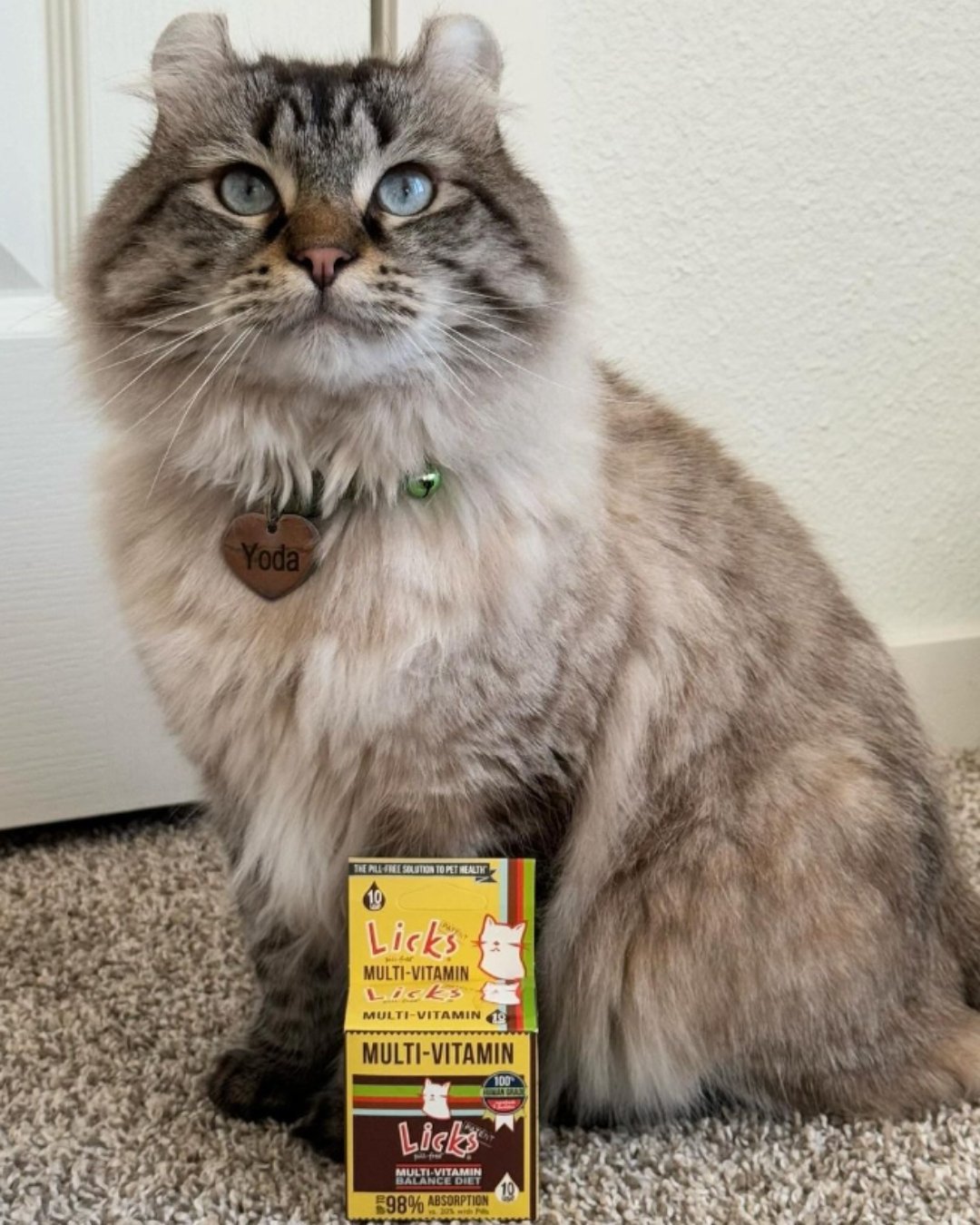 🐱Do you know a Cat lover who would adore Licks?!🐱
This premium Multi-Vitamin formula is designed to enhance both physical and mental well-being, delivering essential vitamins and minerals that even the pickiest pets crave.

Simply sprinkle 1 packet