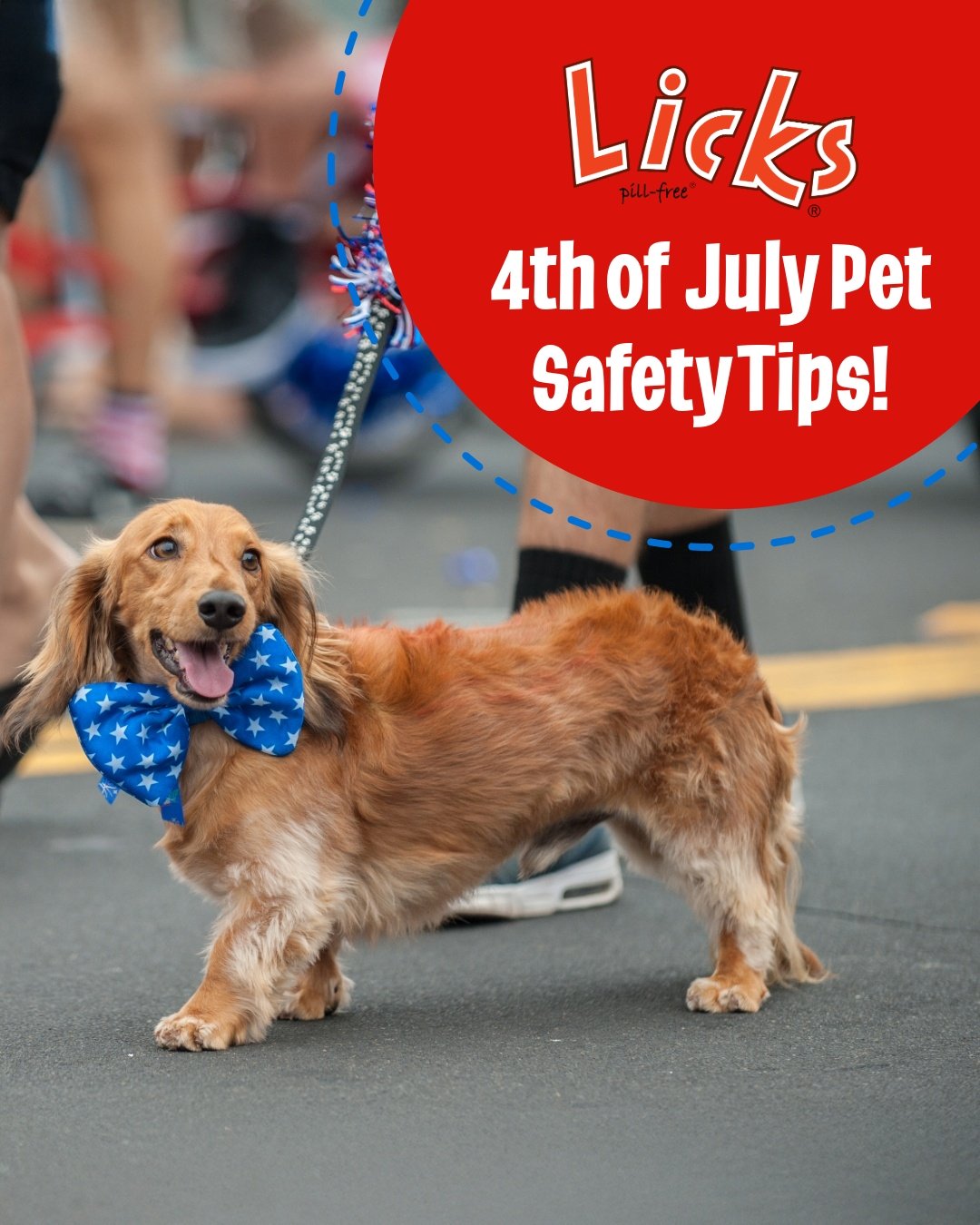 The biggest summer kickoff holiday weekend is almost here!🌭💥 

As we gear up for the holiday, it's time to plan some fun for the whole family&mdash;including our furry friends! 🌞🐾

Swipe to read some essential pet safety tips to ensure everyone e