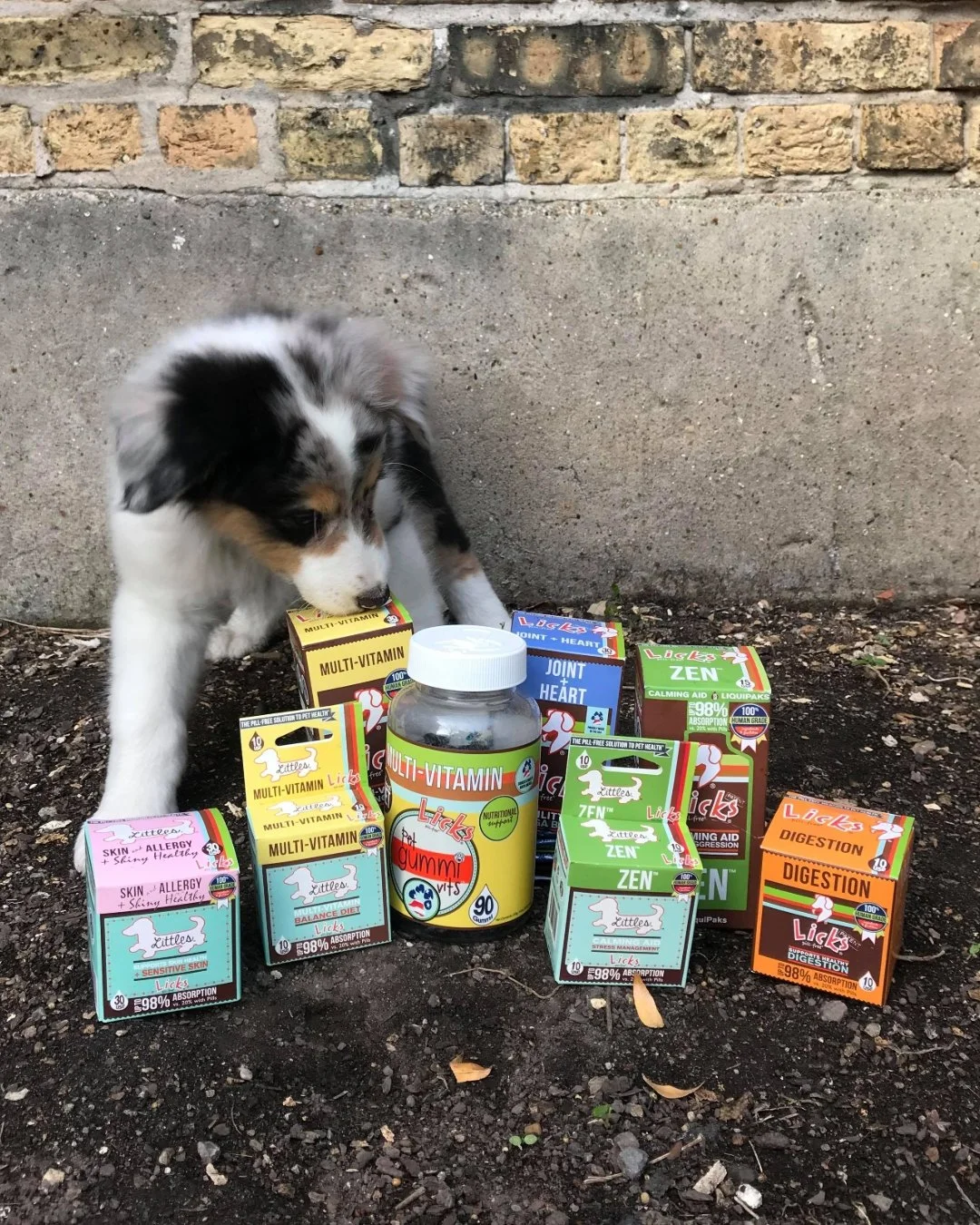 Support your pet's health at every stage 🐾

Your furry friend deserves the best care, no matter their age or needs. From calming occasional anxiety to soothing itchy skin, our fast-acting, single-dose supplements are here to help! 🐶

With targeted 