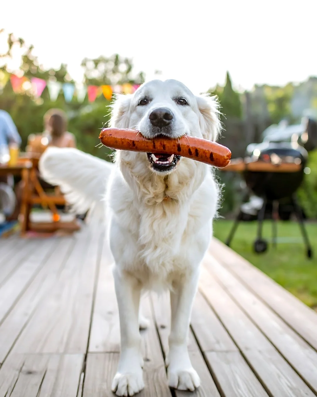 Celebrating Labor Day with your furry besties 🐾

Happy Labor Day from Licks Pill-Free! Whether you're grilling, playing fetch, or soaking up the sun, let's honor this day by making memories with the ones who bring us joy&mdash;our pets! 🐶

Stay saf