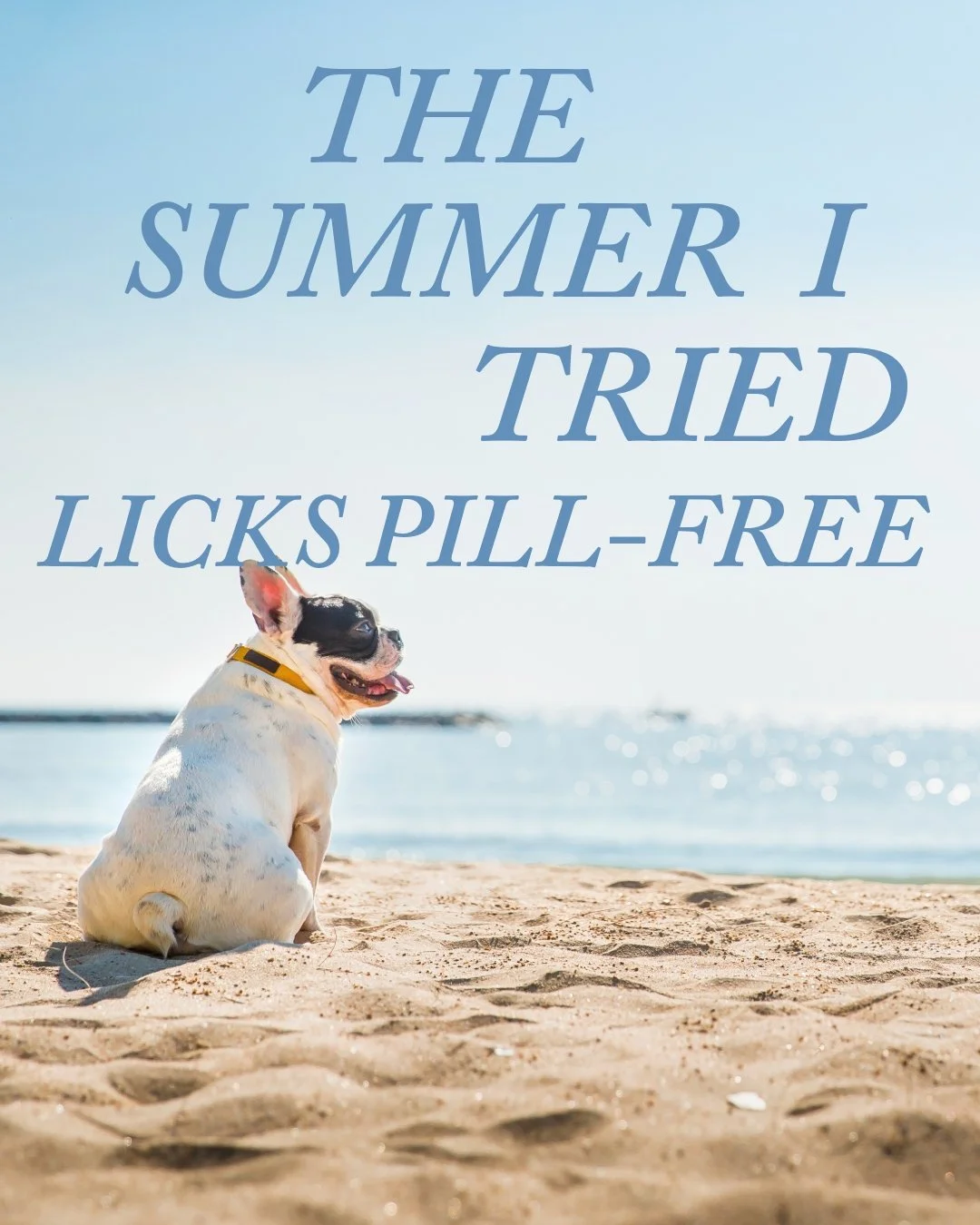 Summer isn&rsquo;t over yet!!☀️ ☀️ ☀️ 

Your pet deserves to soak up these sunny vibes while staying healthy and strong! 🐾 With Licks Pill-Free, giving them the wellness boost they need has never been easier&mdash;or tastier.

Whether it's beach day