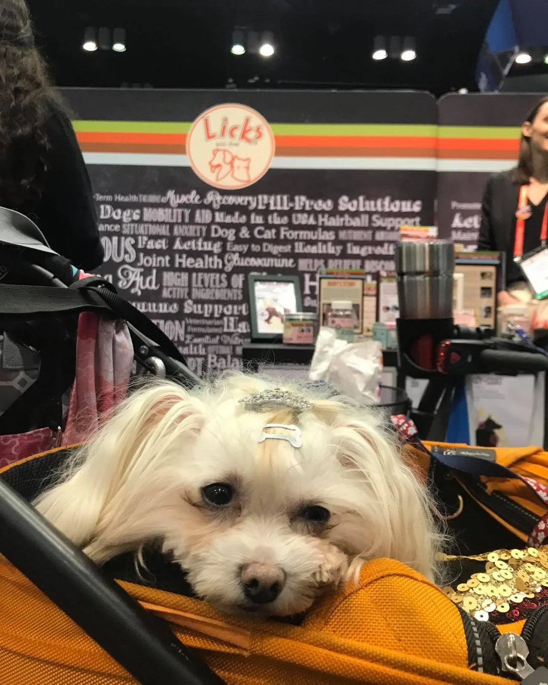 TBT! #ThrowbackThursday to some of the cute friends we made at the Global Pet Expo in 2019! We loved introducing Licks Pill-Free to so many new pets 😊🧡