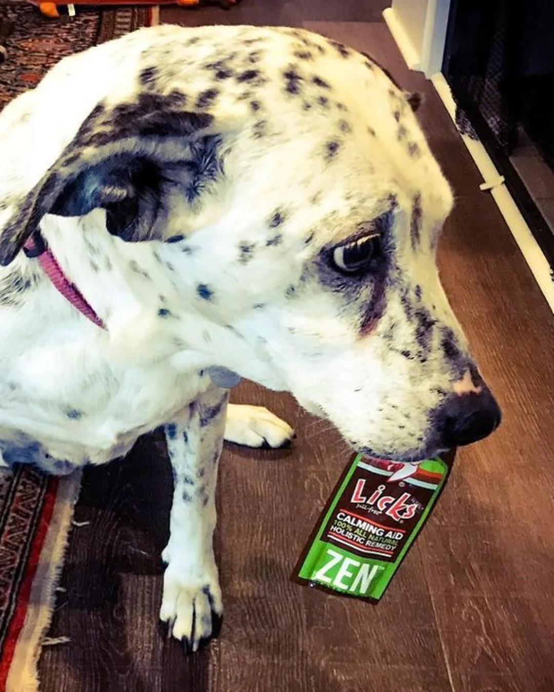 Keep your pets calm this storm season⚡⛈️

Storms can be scary, but your pets don&rsquo;t have to face them stressed! 🌩️ Licks ZEN Calming Aid works fast&mdash;just 30-40 minutes&mdash;to ease anxiety and keep your furry friends calm for up to 6 hour