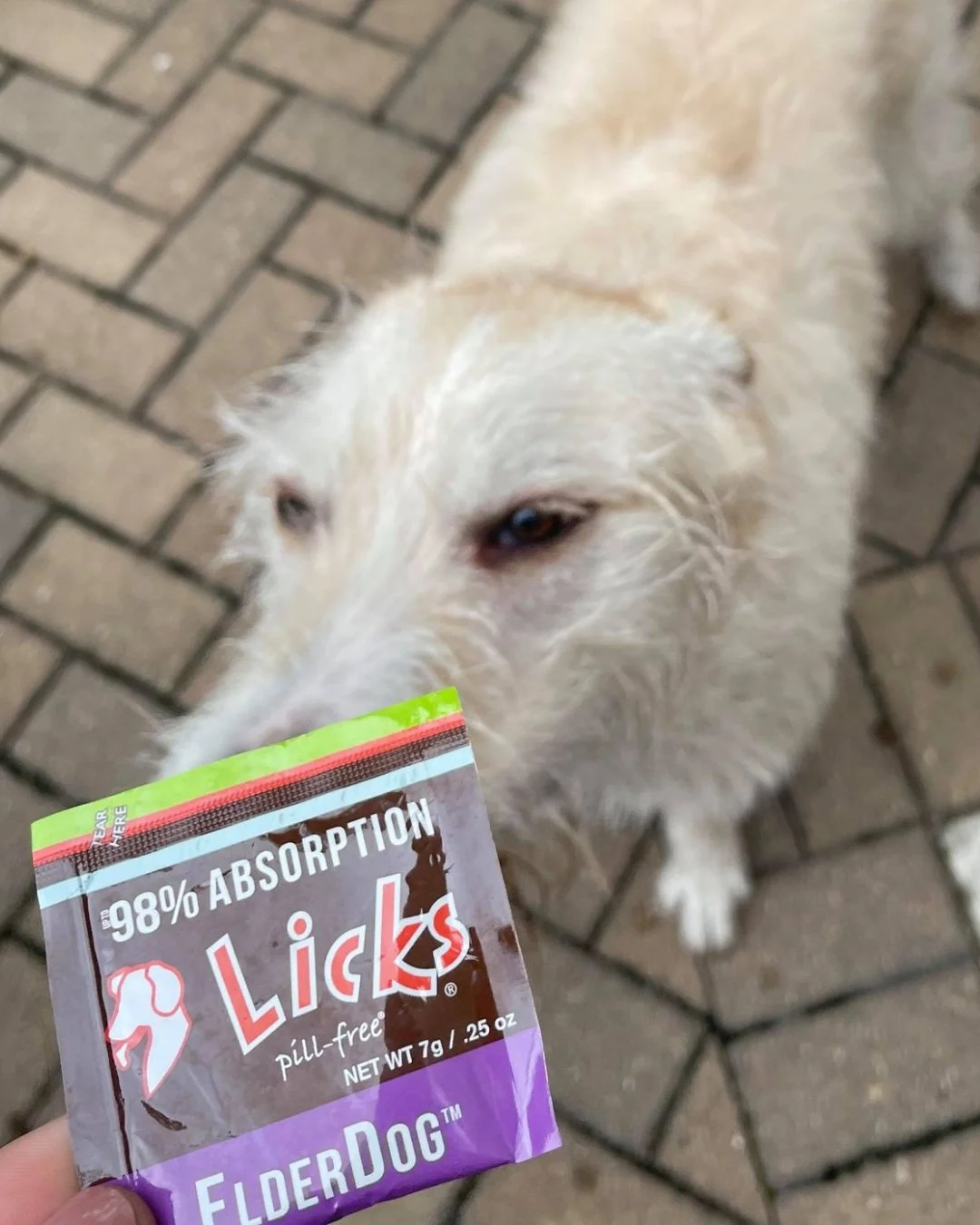 Support your senior pet every step of the way!💜 

Aging pets deserve the best care, and with LICKS&reg; Senior Formula, it&rsquo;s never been easier! 🐾 This advanced formula supports joint health, boosts immunity, aids digestion, promotes a healthy