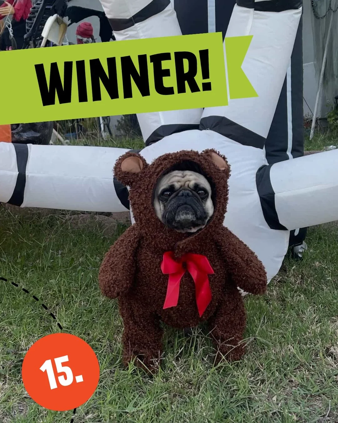 A big congratulations to @simbanala_thepugs on winning our Halloween Costume Raffle! Wishing everyone a safe and happy Halloween today! 👻 🧡