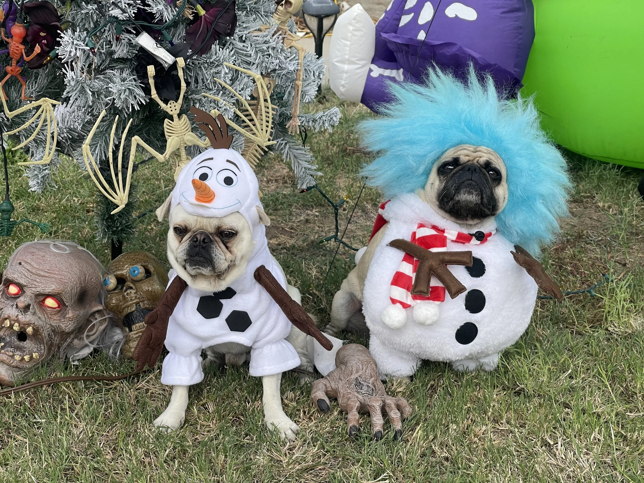 2025 Licks Halloween Pet Costumes!