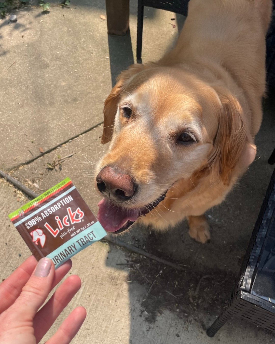 Say goodbye to bladder discomfort 🚫

Too many frantic trips outside or to the litter box? We've got a soothing solution for your furry friend! 🐾 Our Infection Prevention Formula is designed to ease bladder discomfort, reduce frequent urination, and