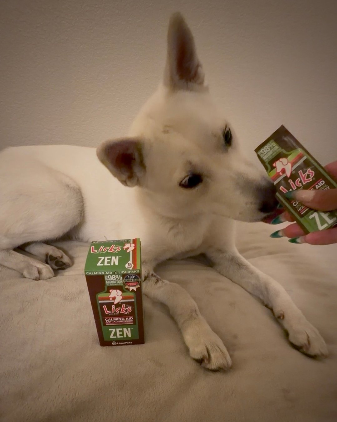 It's Testimonial Tuesday- Meet Chihiro!
&quot;My pet absolutely loved the Lick Spill Free Zen calming aid! The taste was a huge hit with her, which made it so easy to incorporate into her routine. I've been using it as a food topper for her dinner, a