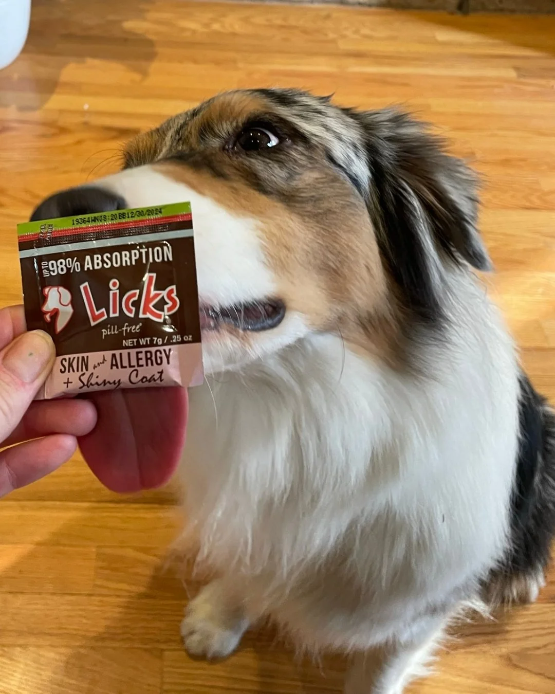 Say goodbye to winter dryness! 🌨️ 

Don&rsquo;t let the chilly air steal your pup&rsquo;s glow! ❄️ Keep their skin happy and hydrated with Licks Pill-Free&rsquo;s Skin &amp; Allergy formula. Packed with Omega 3&rsquo;s, it works from the inside out 
