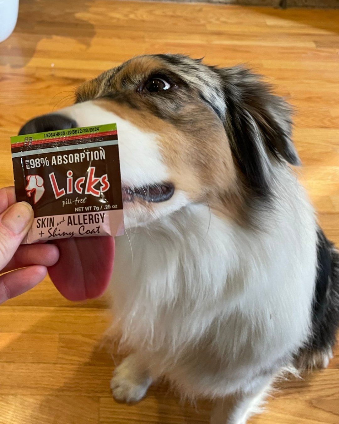 Say goodbye to winter dryness! 🌨️ 

Don&rsquo;t let the chilly air steal your pup&rsquo;s glow! ❄️ Keep their skin happy and hydrated with Licks Pill-Free&rsquo;s Skin &amp; Allergy formula. Packed with Omega 3&rsquo;s, it works from the inside out 