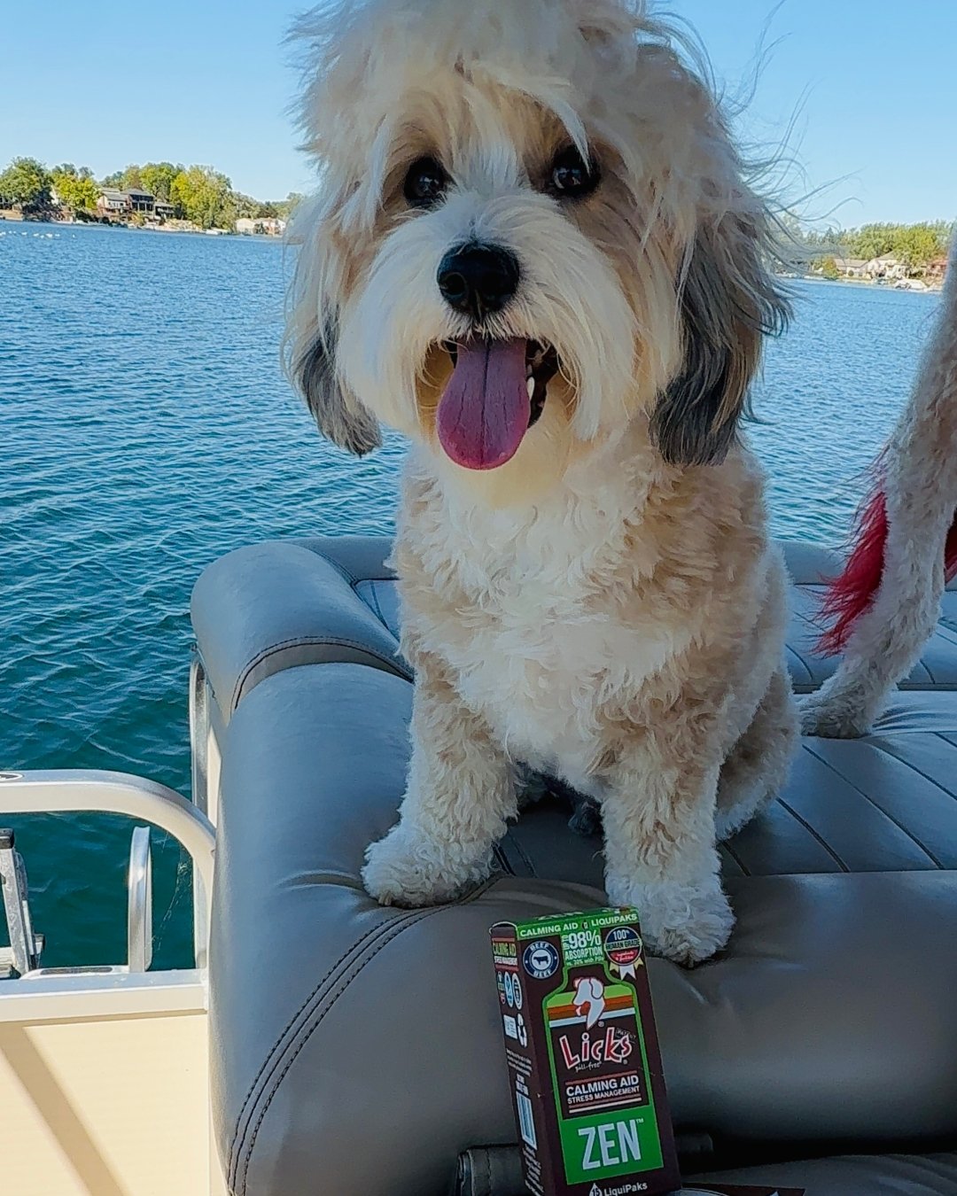 It's Testimonial Tuesday- Meet Radz!
&quot;This is seriously the best product ever! Our little guy has some anxiety issues and will not take pills of any kind, he can find them in anything too! Chewable types aren&rsquo;t his gig either. Not only doe