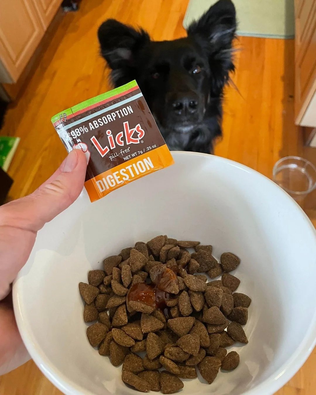 Make every meal paw-fect 🐾

In a dog-eat-dog world, your pup deserves stress-free digestion! 🐕✨ Elevate their dining experience with our special blend of digestive enzymes&mdash; Add LICKS Digestion on top of your pet's meal to make every bite nutr