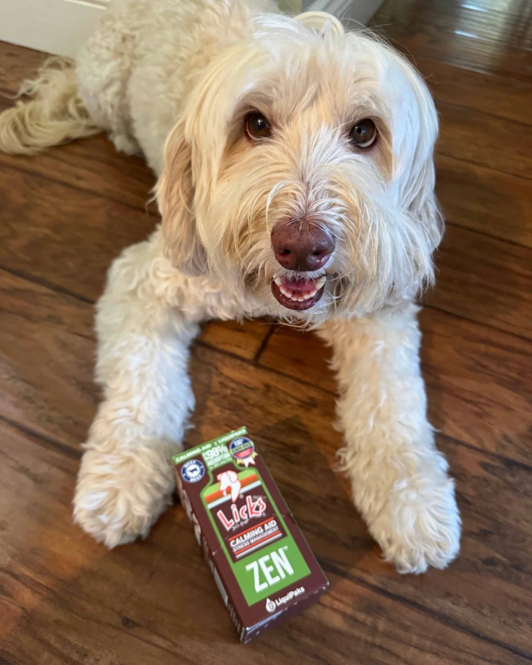 It's Testimonial Tuesday! Jedi is loving our ZEN Calming Aid gel packets!
&quot;This is a great product that comes in little pouches that your dog can lick straight from or mix with food!&quot; 🧡 🧡 🧡