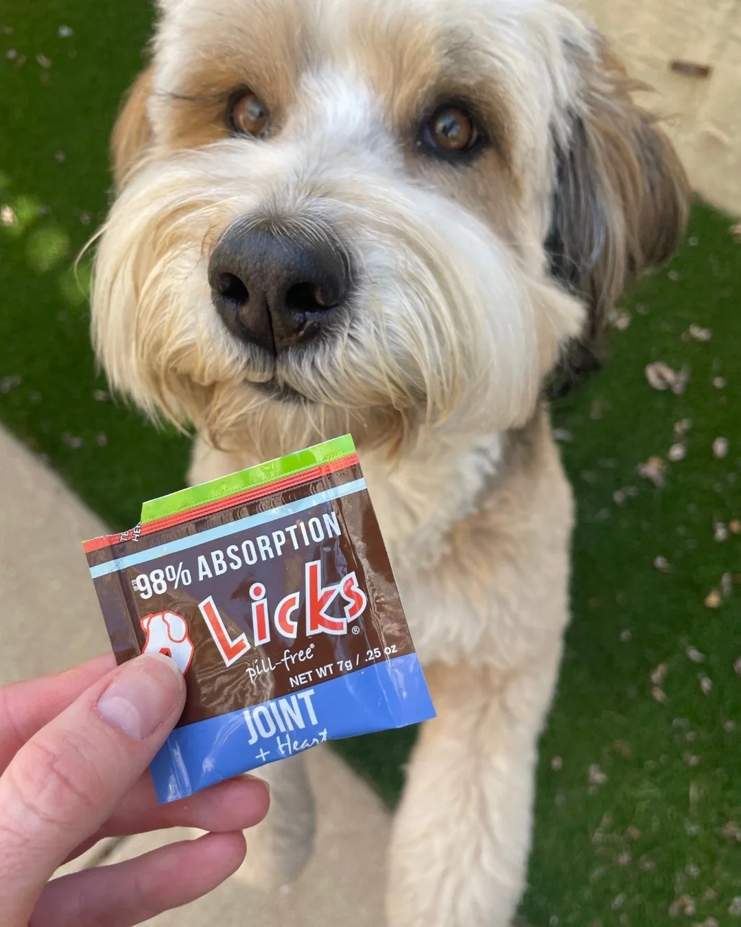 Support your pet's mobility the tasty way!🐶 

Say goodbye to joint stiffness and hello to happy playtime! LICKS&reg; Mobility Formula is packed with high doses of joint lubricants to ease discomfort and keep your furry friend moving effortlessly. 🐾