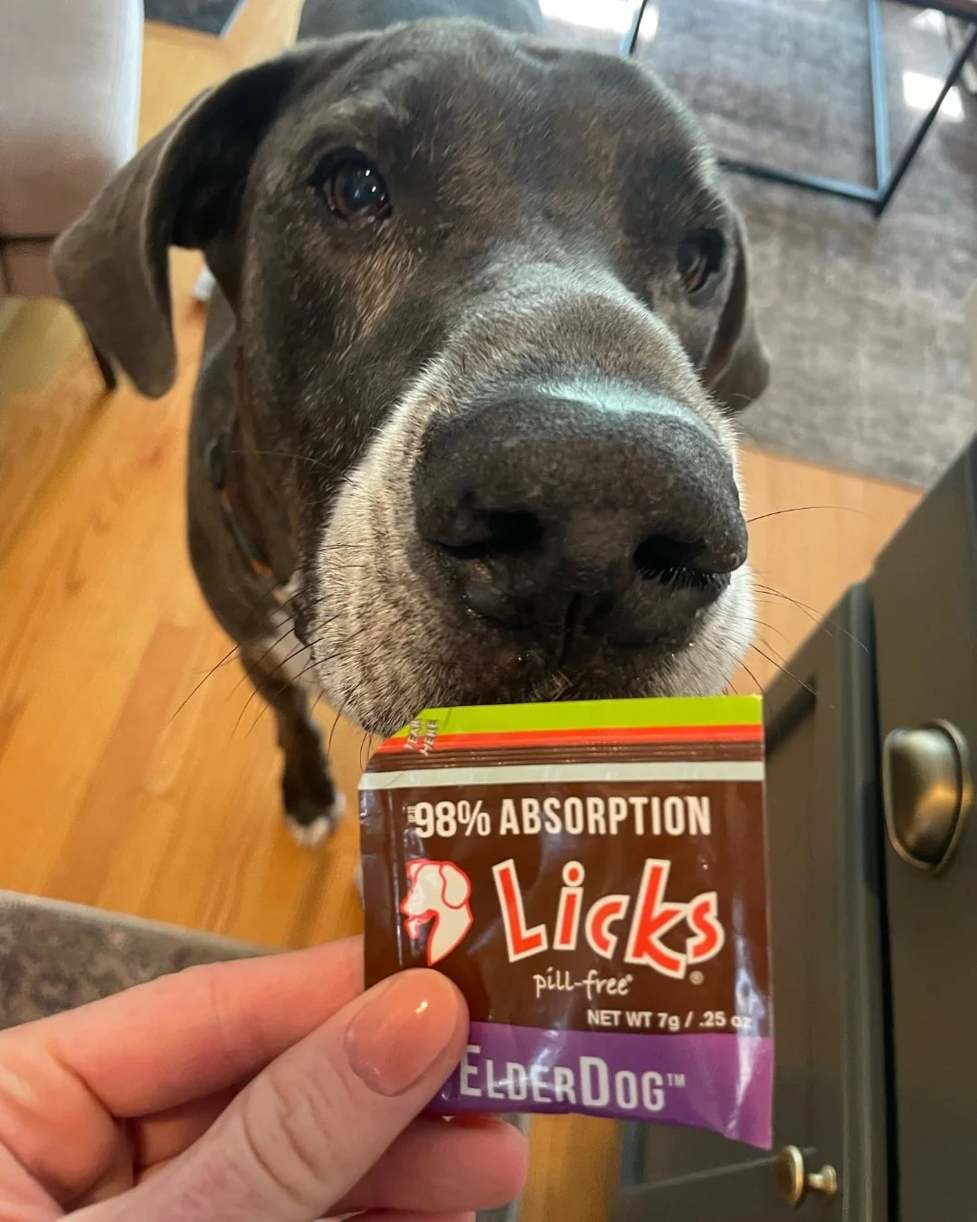 Because your senior pup deserves the best 💕

Aging doesn&rsquo;t mean slowing down on love and care! 🐾 Give your furry best friend the support they need with LICKS&reg; Senior Formula&mdash;designed for easy absorption and hassle-free administratio