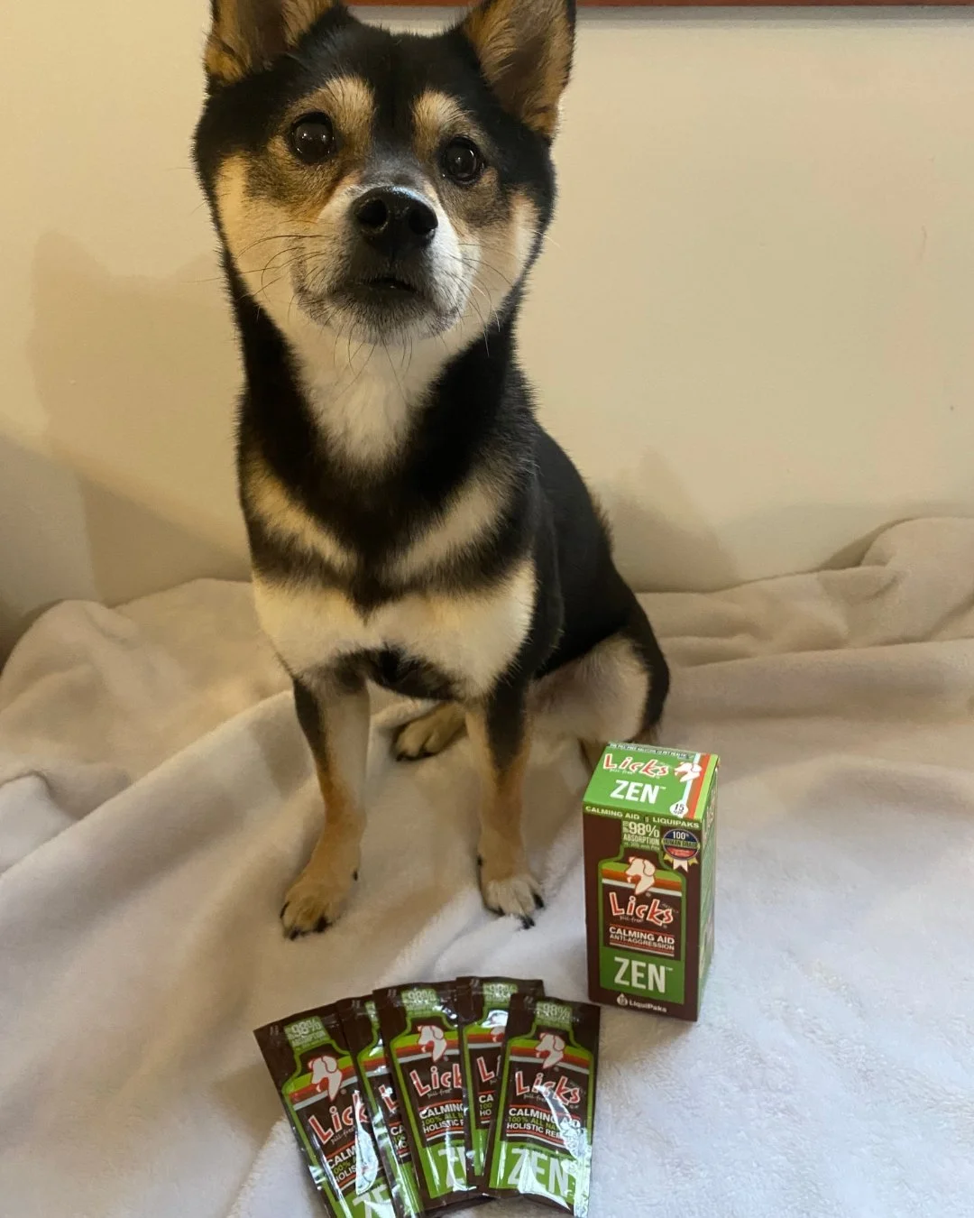Keep your pets calm this holiday season 🎄

The holidays are joyful but can be overwhelming for your furry friends. Licks ZEN is here to help! 🐾 Our natural calming aid ensures your pets stay relaxed during the festive chaos. Whether it's visitors, 