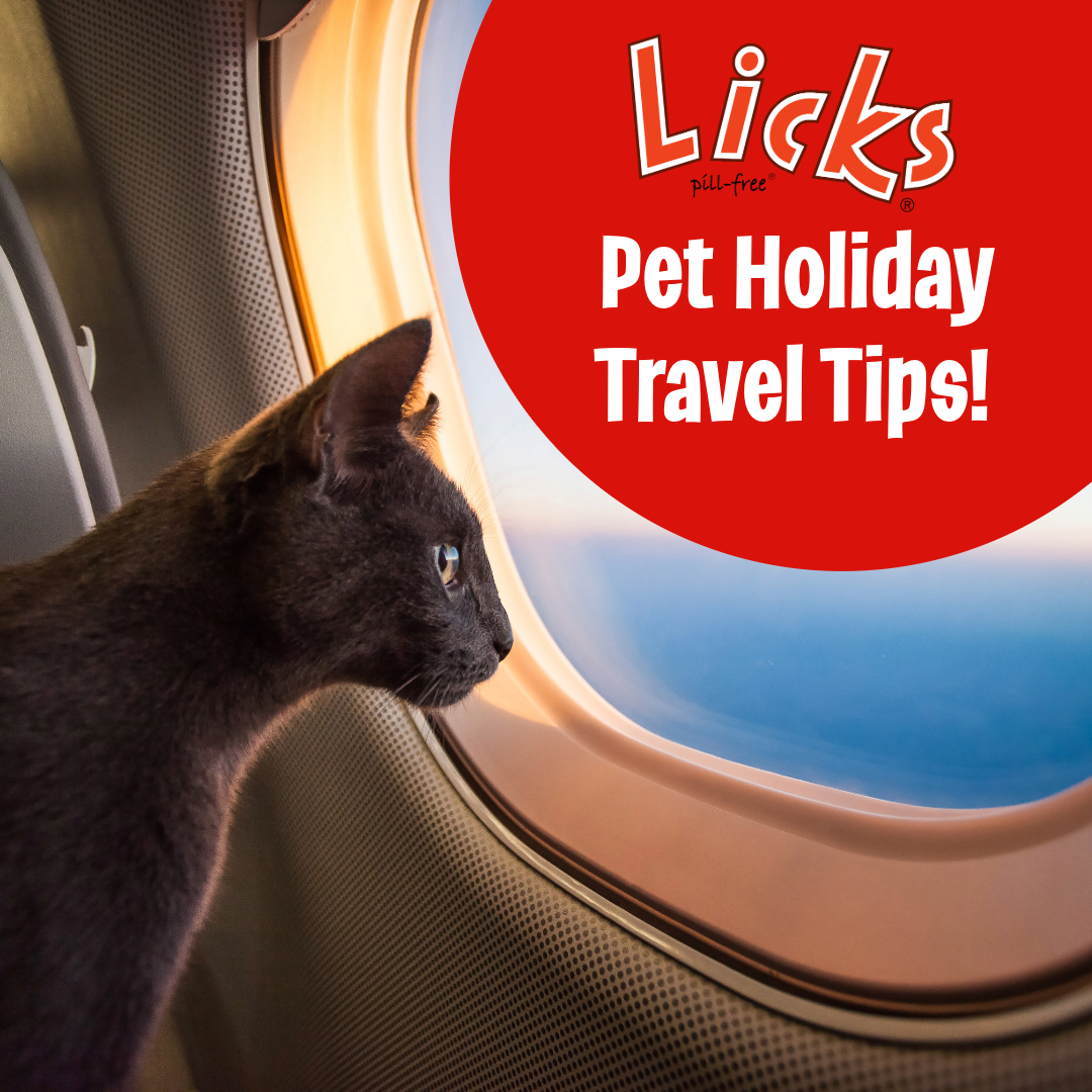 Pet Holiday Travel Tips!