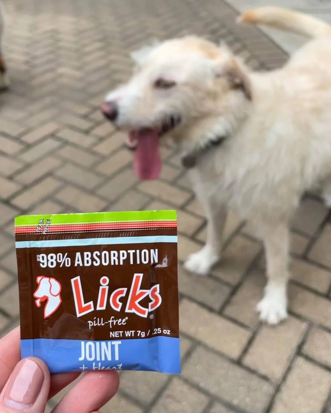 Caring for your pet's joints and heart opens the door to more active, joyful years together. 🐾

With powerful ingredients like MSM, Omega 3&rsquo;s, and Vitamin E, our Joint and Heart formula is your pet's essential mobility companion. 🐶💖 

#Licks