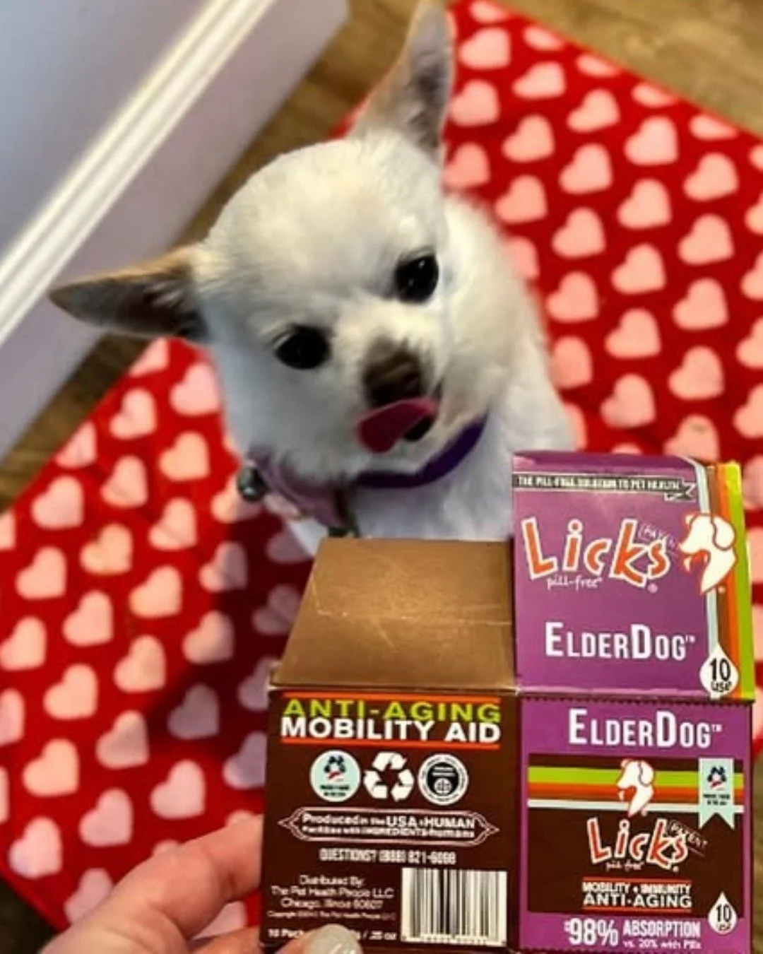 We hope your love lasts forever! Licks Elderdog helps keep your pup strong and healthy for more years of loving 💕 

Happy Valentine's week from Licks! How are you and your furry companions celebrating?!

#LicksPillFree #PetSupplements #ElderDog #Sen