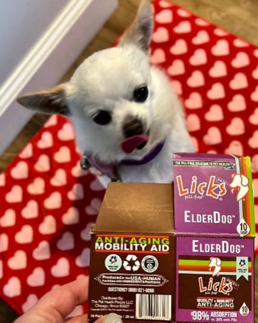 We hope your love lasts forever! Licks Elderdog helps keep your pup strong and healthy for more years of loving 💕 

Happy Valentine's week from Licks! How are you and your furry companions celebrating?!

#LicksPillFree #PetSupplements #ElderDog #Sen
