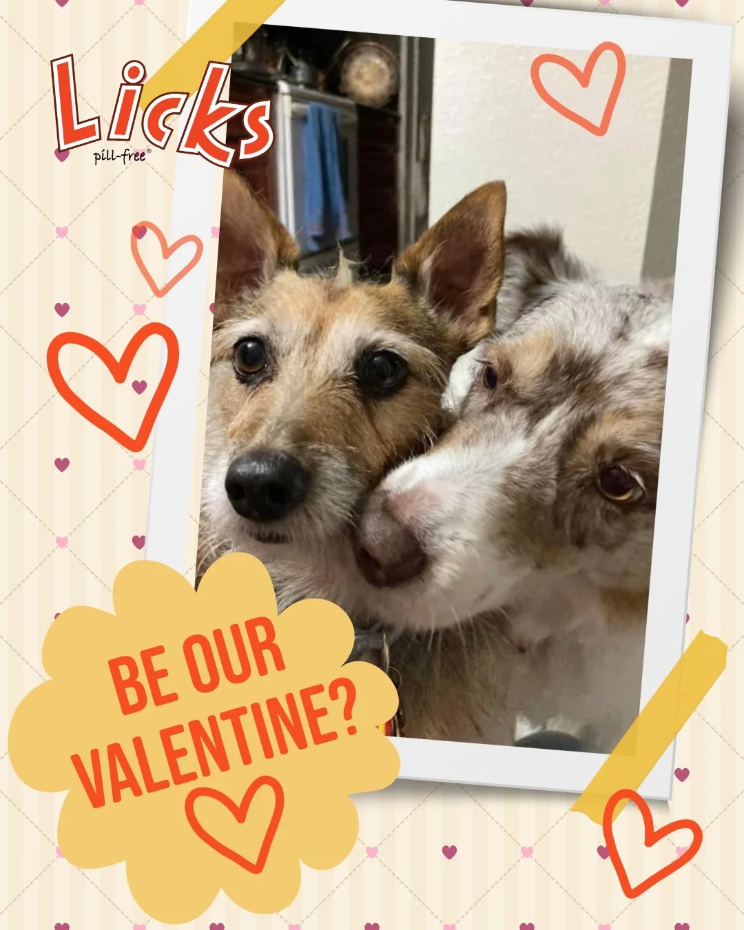 Will you be our valentine? 💕

Show your furry friends some extra love this Valentine&rsquo;s week! 🐾 Save 25% on all Skin &amp; Allergy products with code 'VALENTINE26'&mdash;because their well-being is the sweetest treat of all. 💖 Offer ends soon