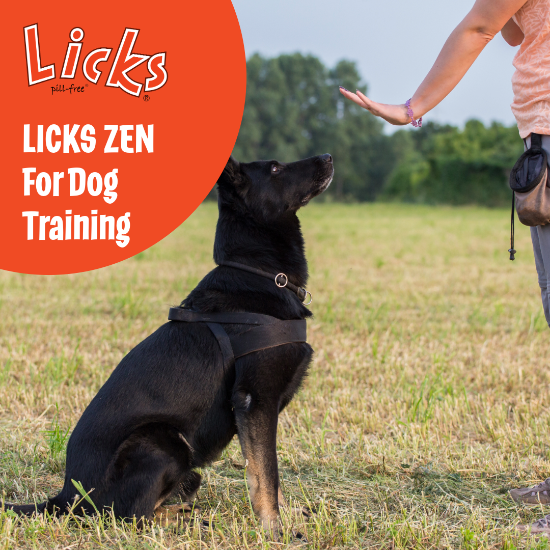 How LICKS Can Help With Training Your Dog!