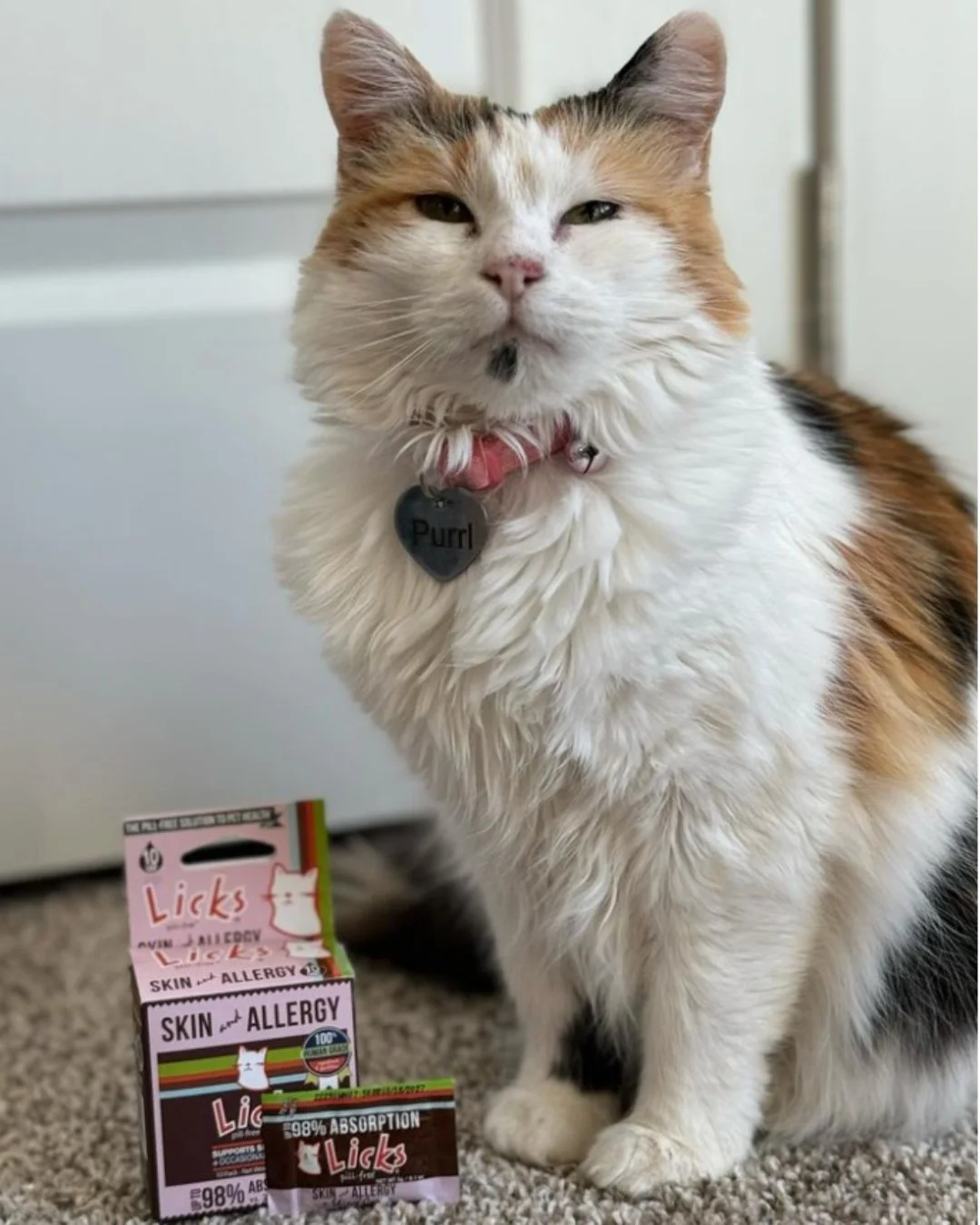 Your feline friend deserves to feel as good as they look! 🐾 

Licks Pill-Free&rsquo;s Skin &amp; Allergy formula is packed with Omega 3&rsquo;s to nourish their skin and soothe occasional allergies from the inside out. Say goodbye to dry, itchy skin