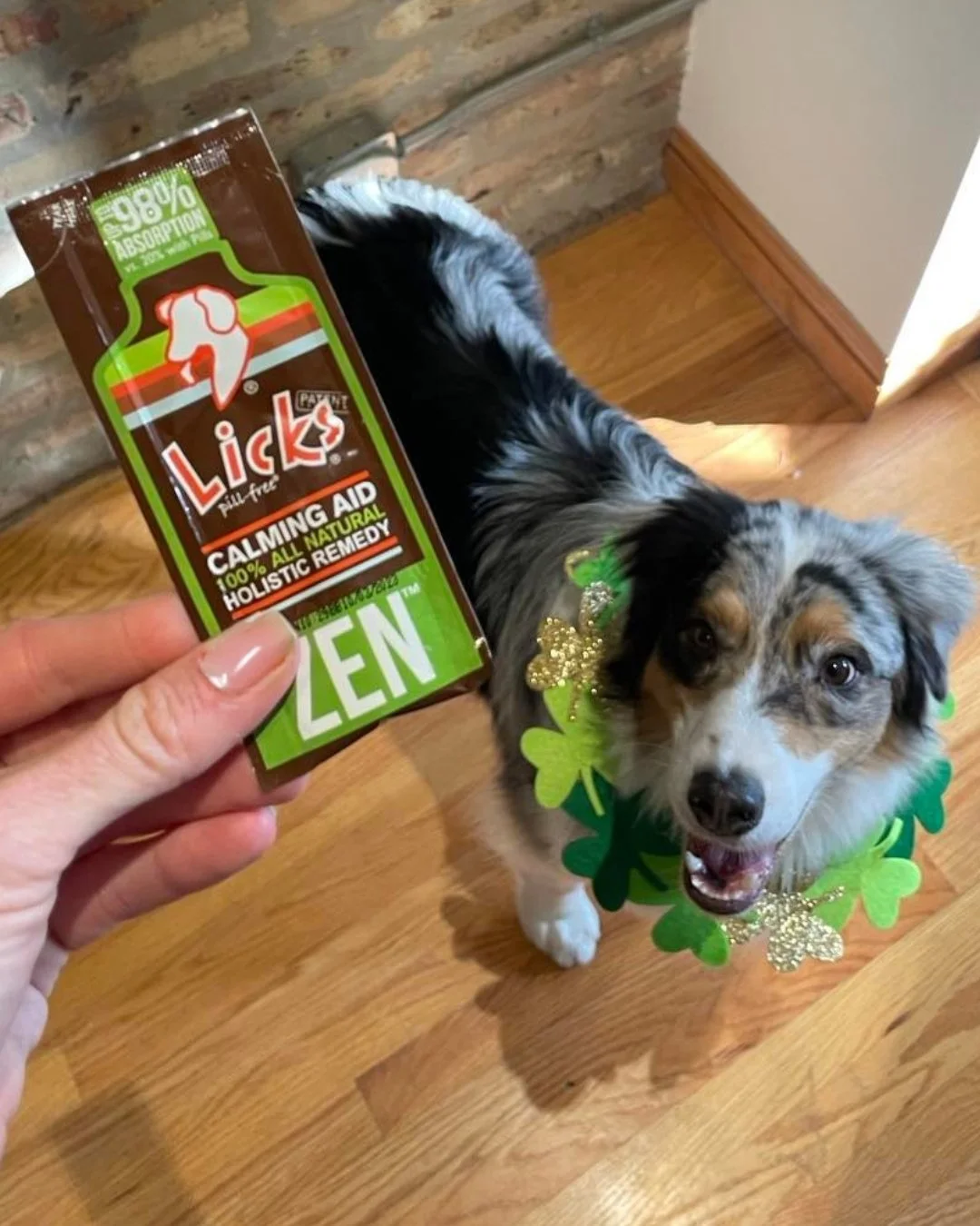Happy St. Patrick's Day! Treat your furry friend to some calm and save 25% on all Calming Aid products today with code: LUCKY25. Don&rsquo;t let the holiday excitement ruffle their fur&mdash;peace is just a click away 🌈.

Hurry, this lucky deal ends