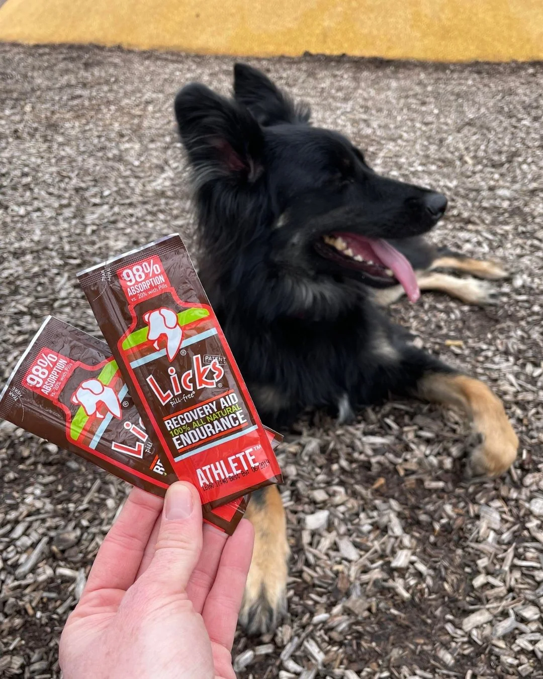 Do you have an active, sporting or working dog?? ⬇️⬇️
 
LICKS&reg; Athlete supports high activity dogs to help keep them in peak condition. For dogs competing, working, or needing extra calories.

#DogAthlete #SportingDog #RunningDog #DogEnduranceAid