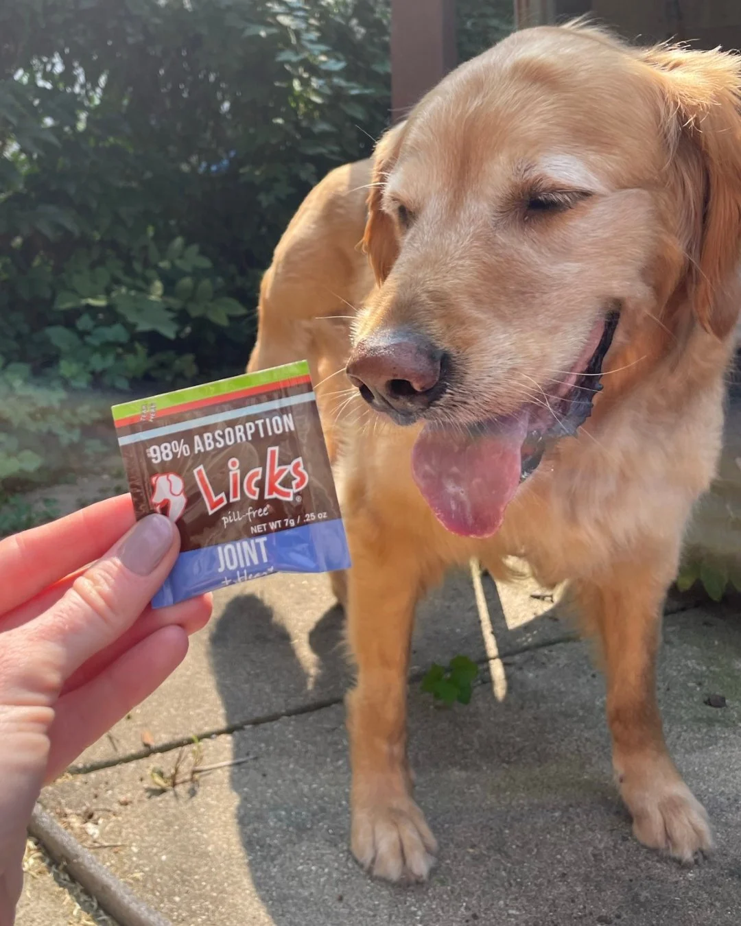 Keep your pet moving happily!☀️ 

Ease your pet&rsquo;s joint discomfort and stiffness with LICKS&reg; Mobility Formula! Packed with MSM, Omega 3&rsquo;s, and Vitamin E, it&rsquo;s a powerful blend supporting joint health and a happy heart. 🐾

Let y