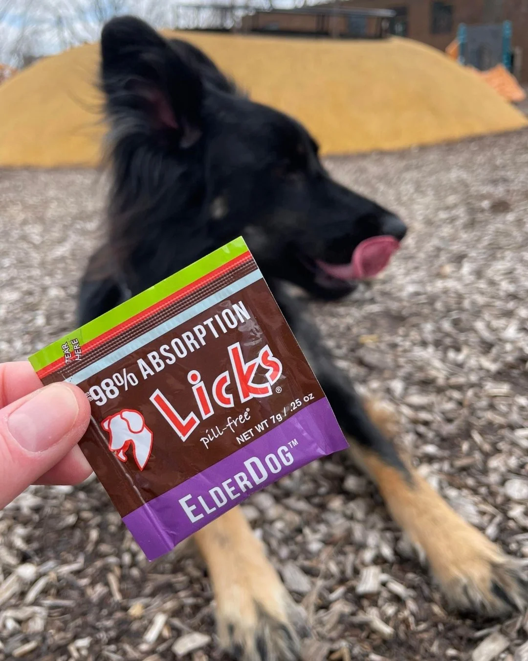 Support your aging pet with LICKS&reg; Senior Formula! It aids mobility, digestion, immunity, heart health, and improves skin and coat. Easy to administer care for your senior pet.

#SeniorPets #PetHealth #DogHealth #SeniorDog #LicksPillFree