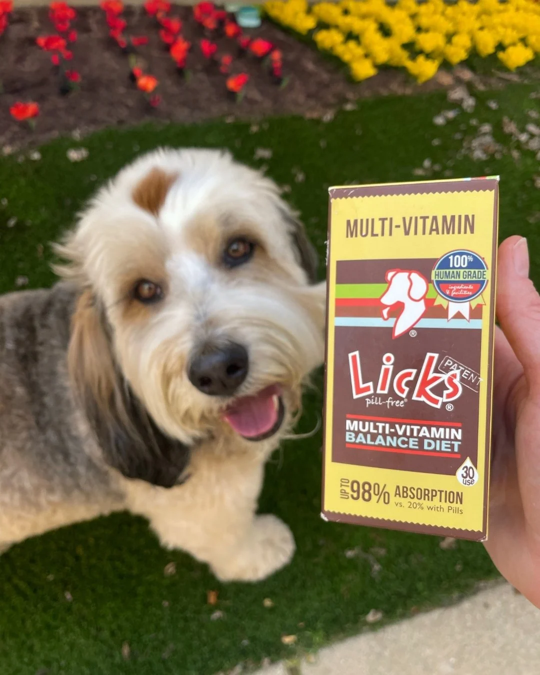 LICKS&reg; Multi-Vitamin fills nutritional gaps,  supports physical and mental well-being, provides vitamin and mineral support, and nourishes picky pets.

Administer 1 packet on top of your pet&rsquo;s food or directly into a bowl once daily.

#Lick