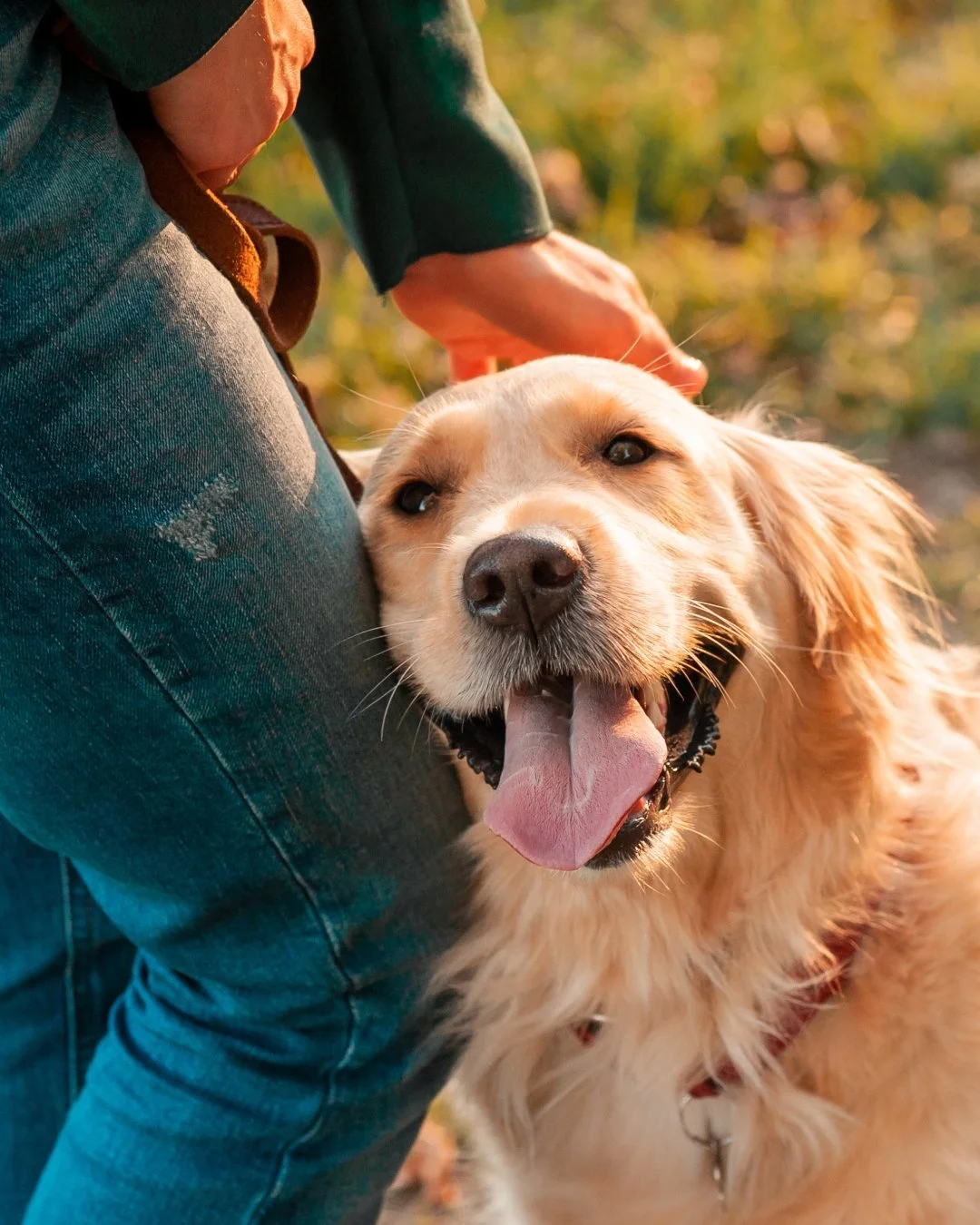 Wishing everyone a happy and safe Memorial Day! 🐾Don&rsquo;t forget, it&rsquo;s your last chance to enjoy 25% off your Licks order with code MDW26. Treat your furry friend while celebrating with loved ones!

Offer ends tonight&mdash;don&rsquo;t miss