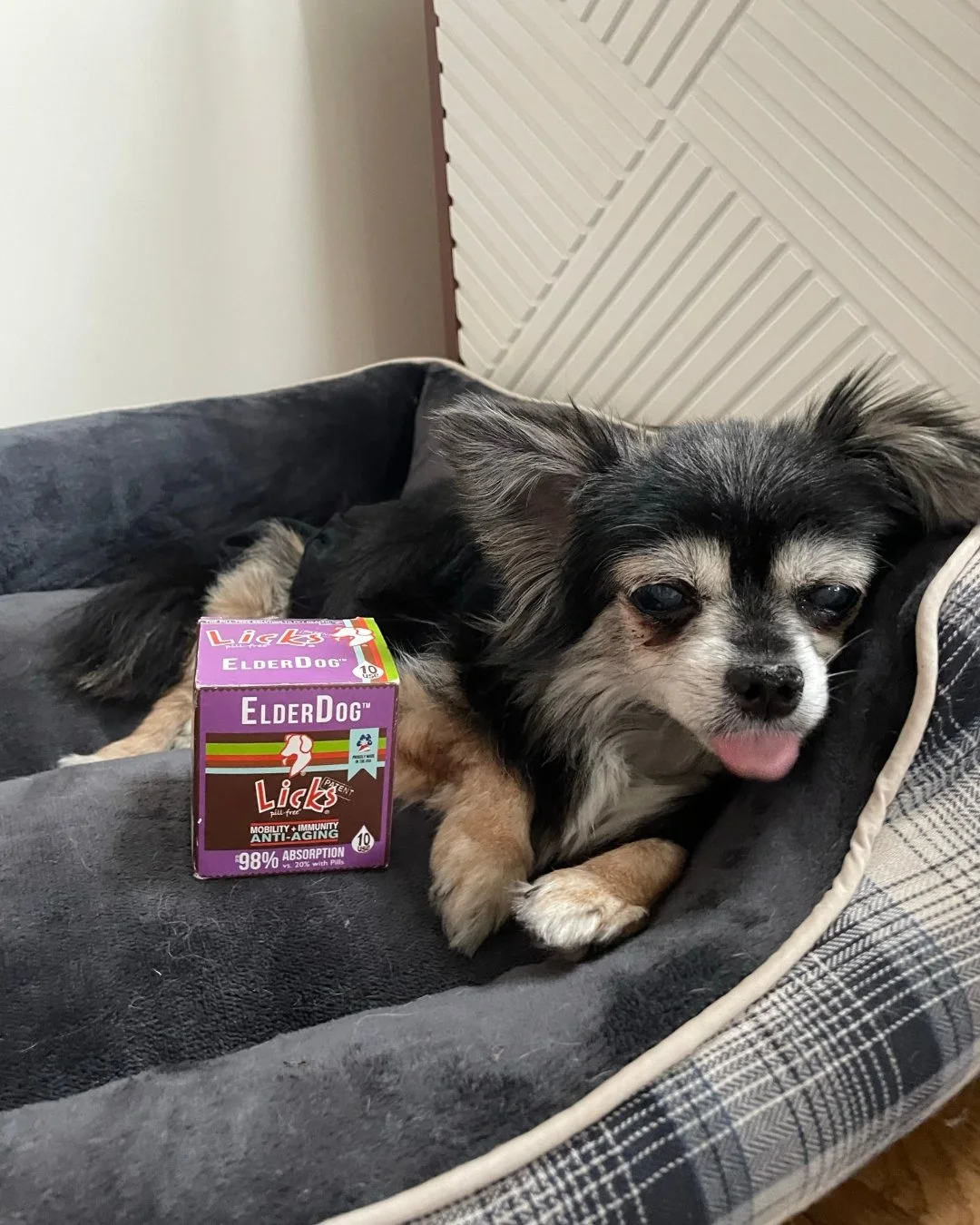 Keep your senior pet happy and thriving!

Support your senior furry friend's golden years with LICKS&reg; Senior! 🐾 This advanced formula enhances mobility, digestion, immunity, heart health, and even their skin and coat. Let&rsquo;s give them the c