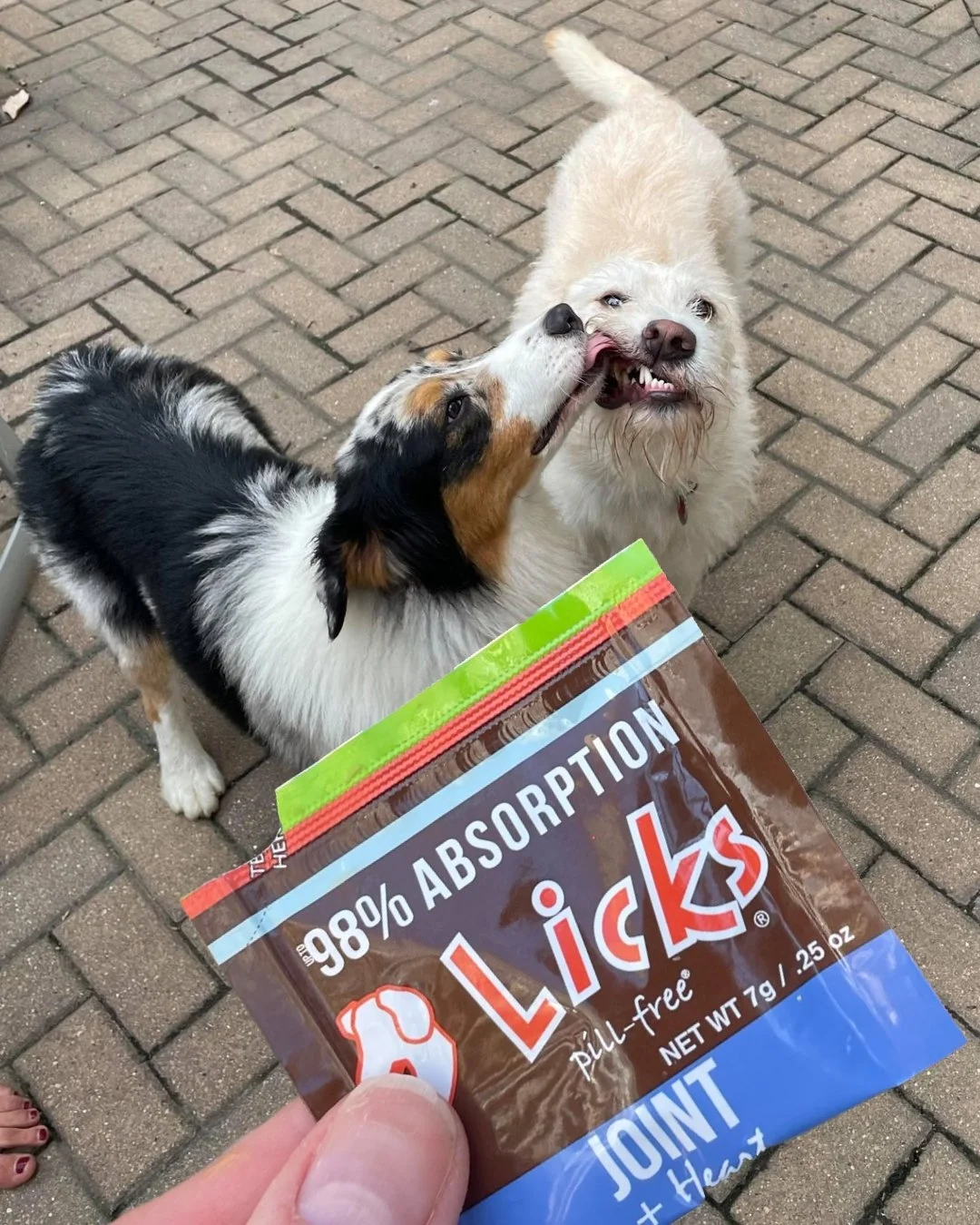 Happy pups, happy joints!

Ease your furry friends' discomfort and keep them active with LICKS&reg; Mobility Formula! 🐾 Packed with high doses of joint lubricants, it&rsquo;s the ultimate support for running, jumping, and playing without stiffness. 