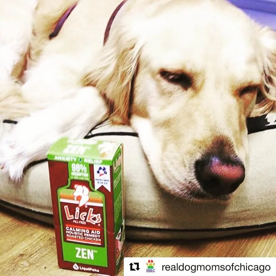 Pet with LICKS_35.jpg