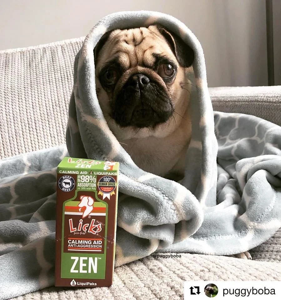 Pet with LICKS_33.jpg