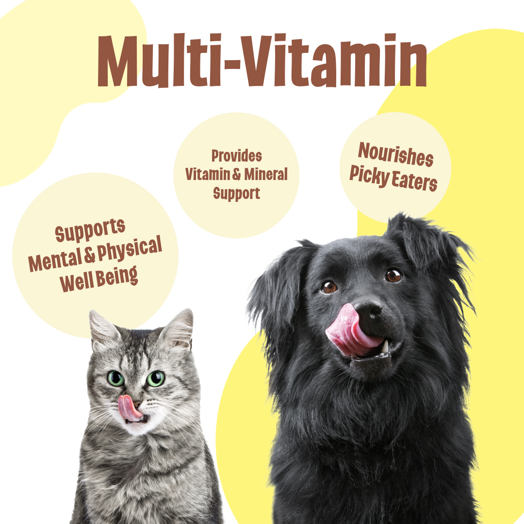 MultiVitamin Feeding Aid — LICKS PillFree Solutions