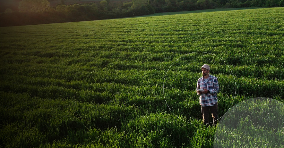 mastercard banner.png