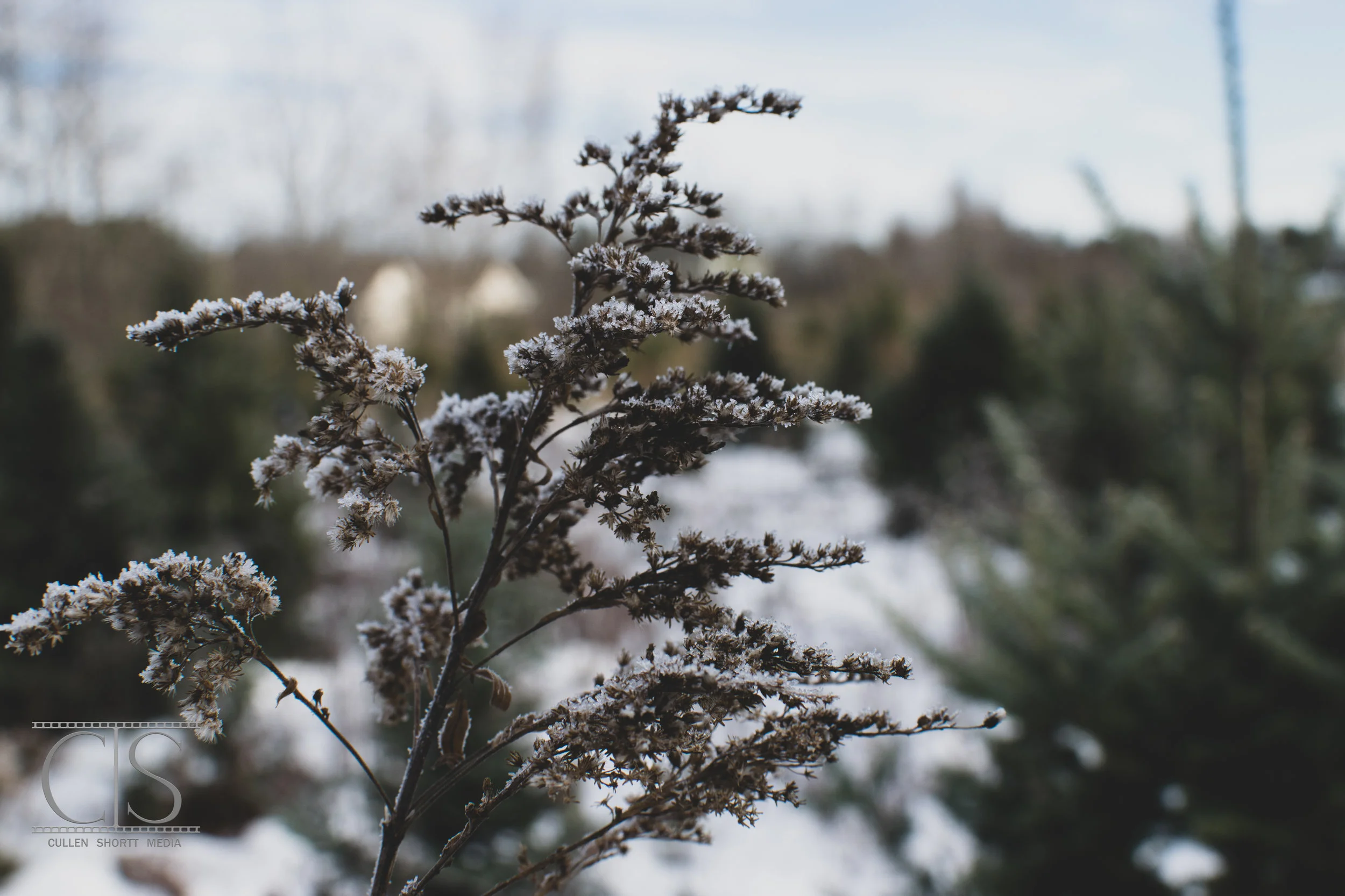 Cold.