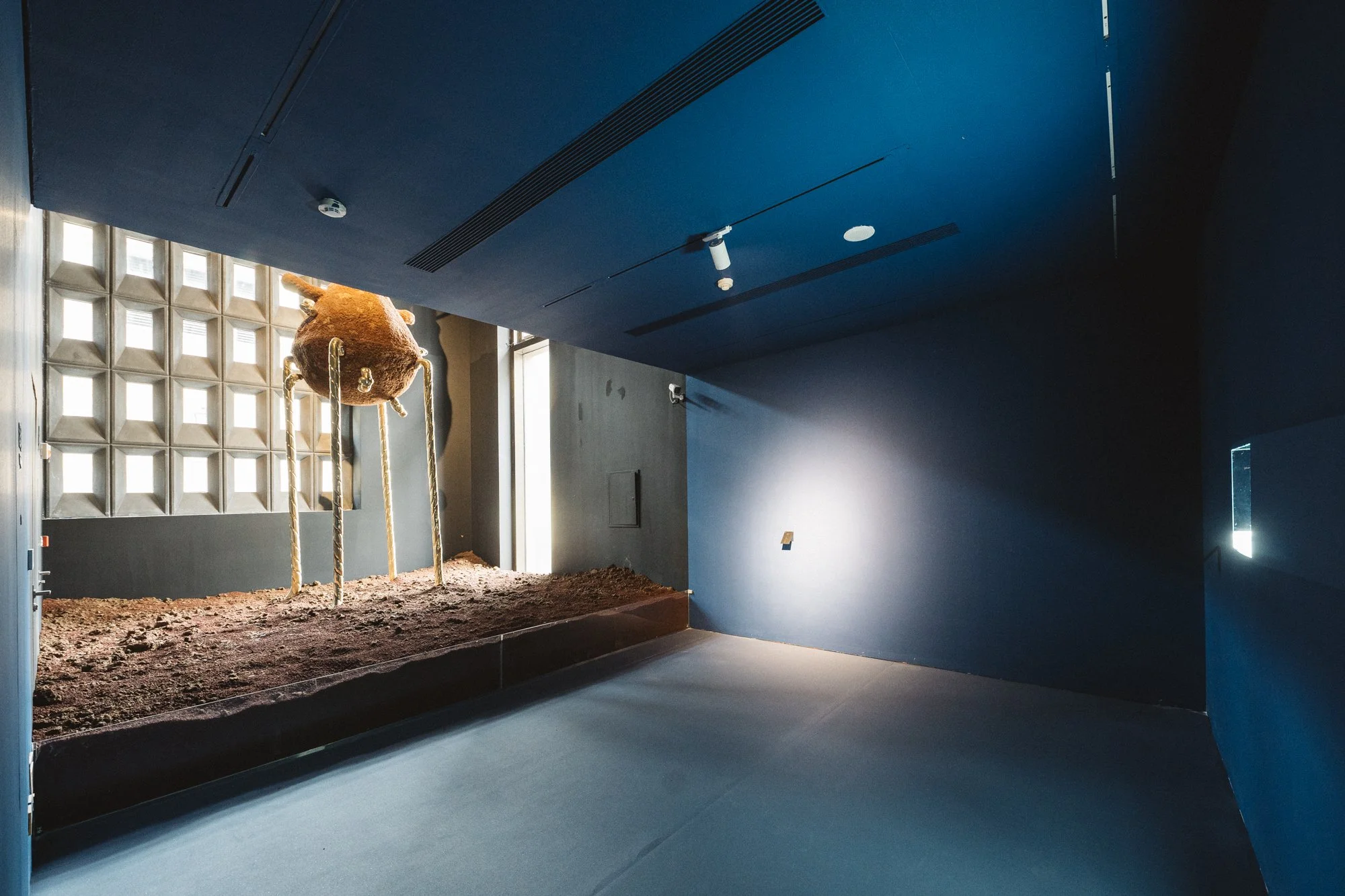 Exhibitions u2014 Xin Liu  刘昕