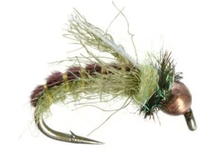 A)Caddis Larve Zwing Caddis