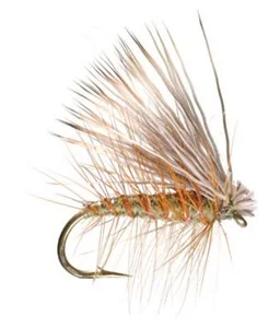 C)Adult Caddis Elk Hair Caddis