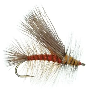 B)Stonefly Adult Stimulator