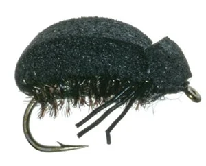 C)Beetle Foam Beetle